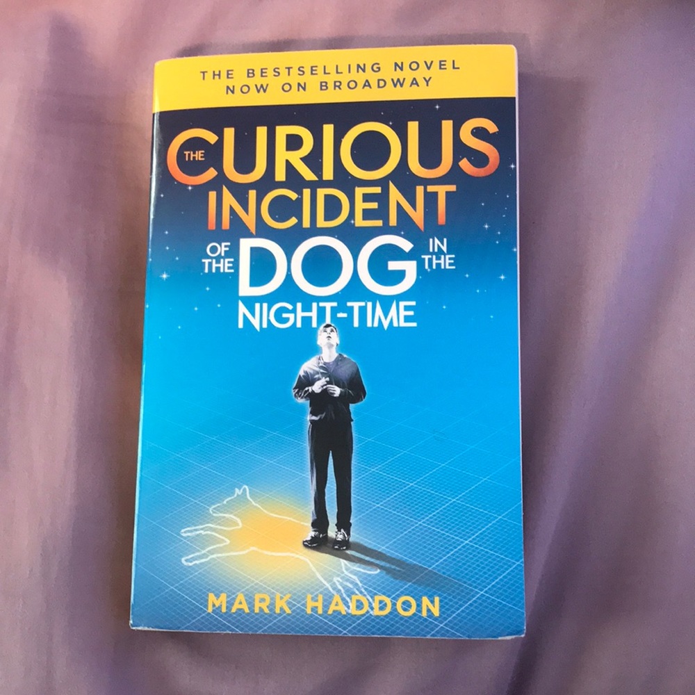 The Curious Incident of the Dog in the Night-Time
